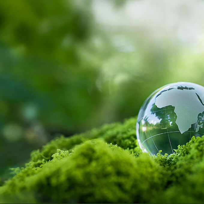 Formulaire de retour pour produits REGUPOL usagés