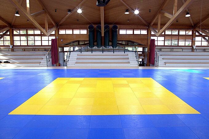 Tapis pour sports de combat Tapis pour sports de combat